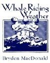 Whale Riding Weather