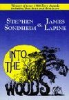 Into The Woods Book Cover