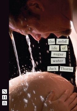 The Solid Life Of Sugar Water Book Cover
