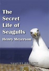 The Secret Life Of Seagulls Book Cover