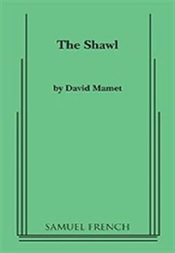 The Shawl Book Cover