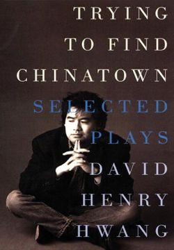 Trying To Find Chinatown Book Cover
