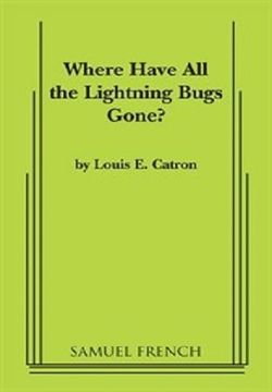 Where Have All The Lightning Bugs Gone? Book Cover