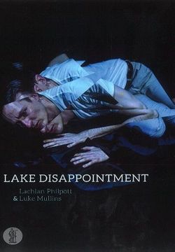 Lake Disappointment Book Cover