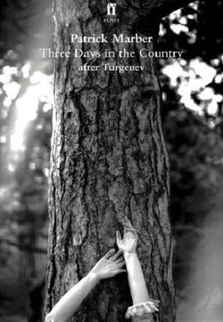 Three Days in the Country Book Cover