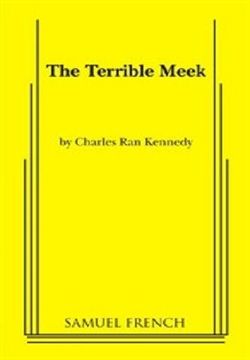 The Terrible Meek Book Cover