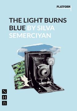 The Light Burns Blue Book Cover