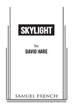 Skylight Book Cover