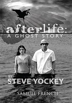 Afterlife Book Cover
