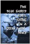 Five Blue Haired Ladies Sitting on a Green Park Bench Book Cover