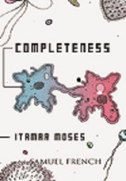 Completeness Book Cover
