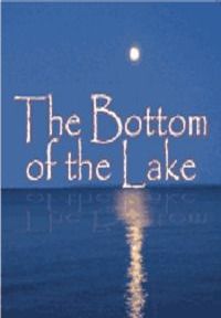 The Bottom Of The Lake Book Cover