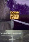Down Dangerous Passes Road Book Cover