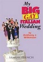 My Big Gay Italian Wedding Book Cover