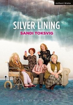 Silver Lining Book Cover
