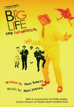 The Big Life Book Cover